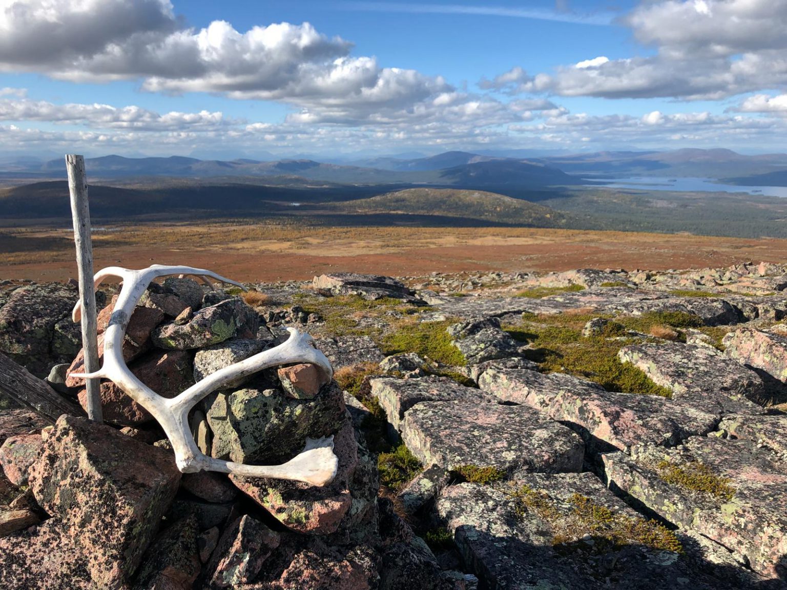 Ab ins Fjäll Der Jarre! Lappland