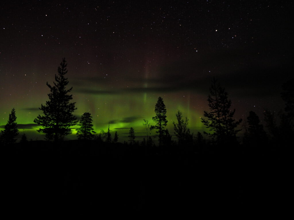 Nordlichter 2020 in Lappland