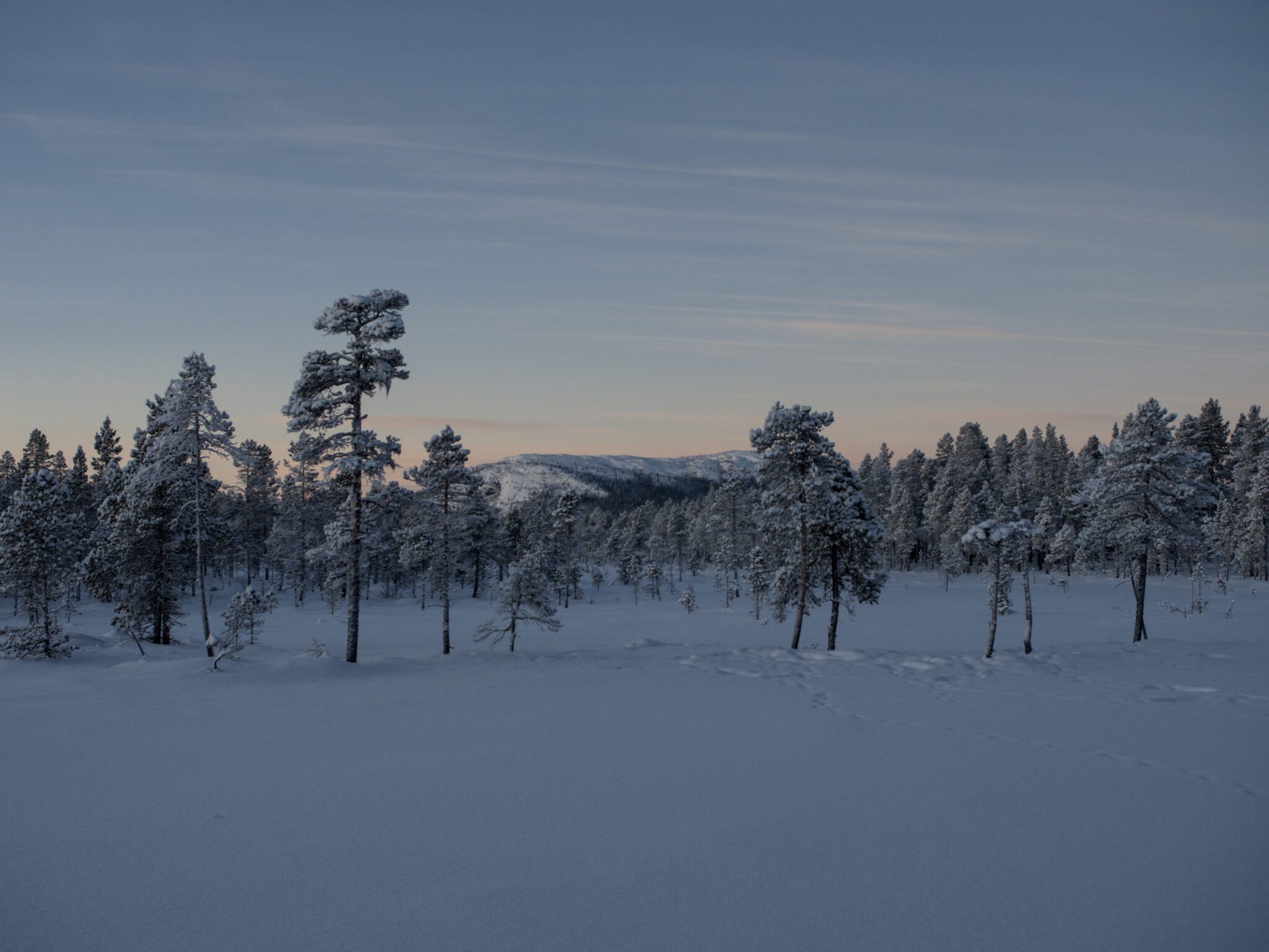 Gruß aus dem Schnee - das Fjäll im Winter