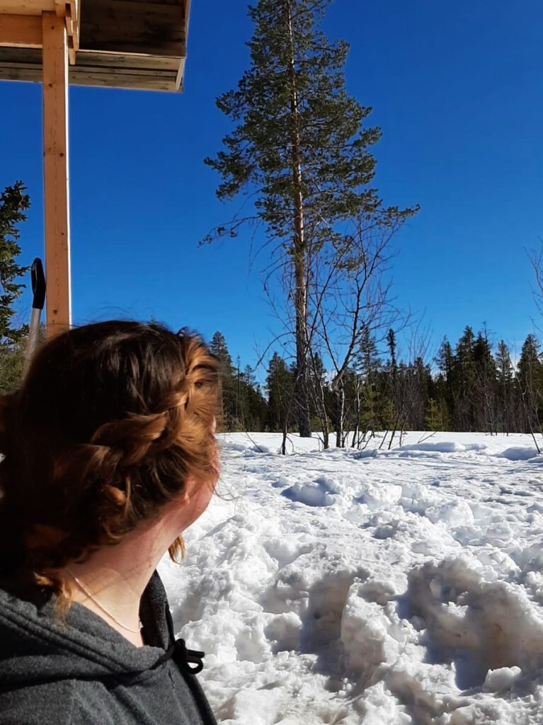 Vorräte planen bei bester Aussicht