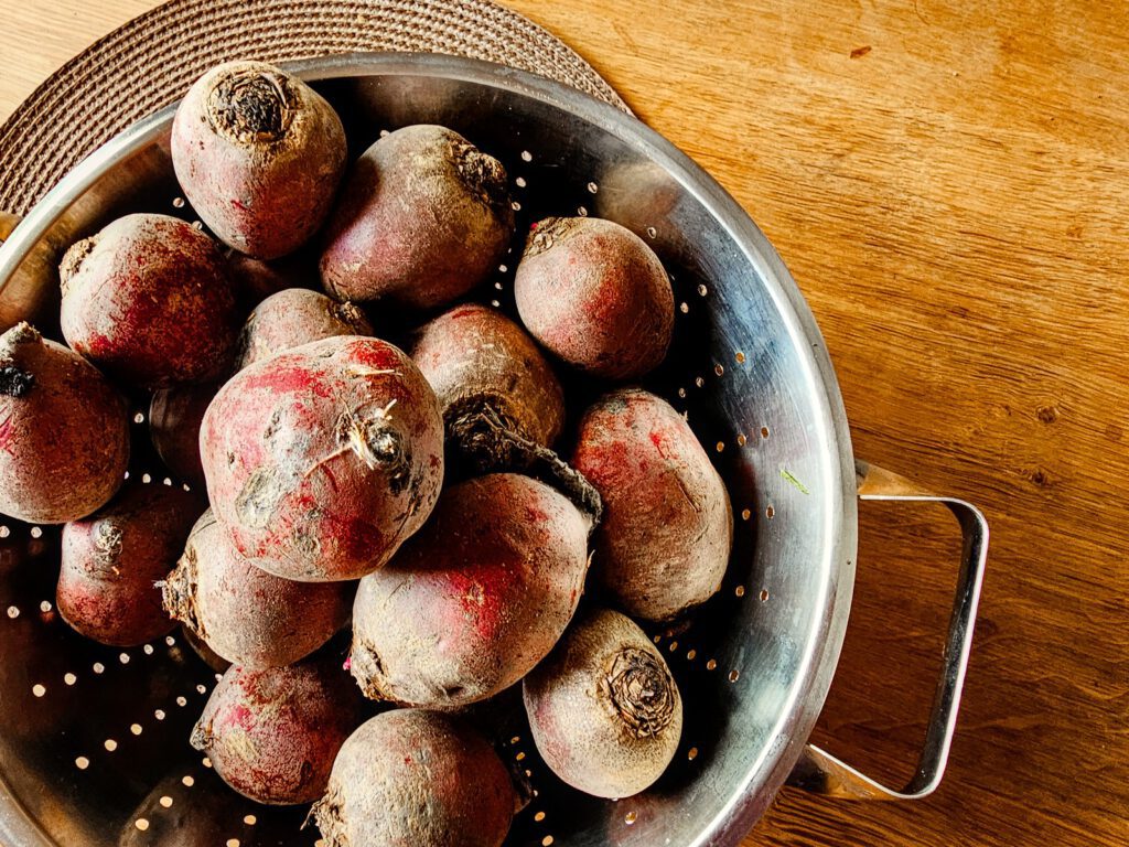 Rohe rote Bete Knollen im Sieb vor der Verarbeitung