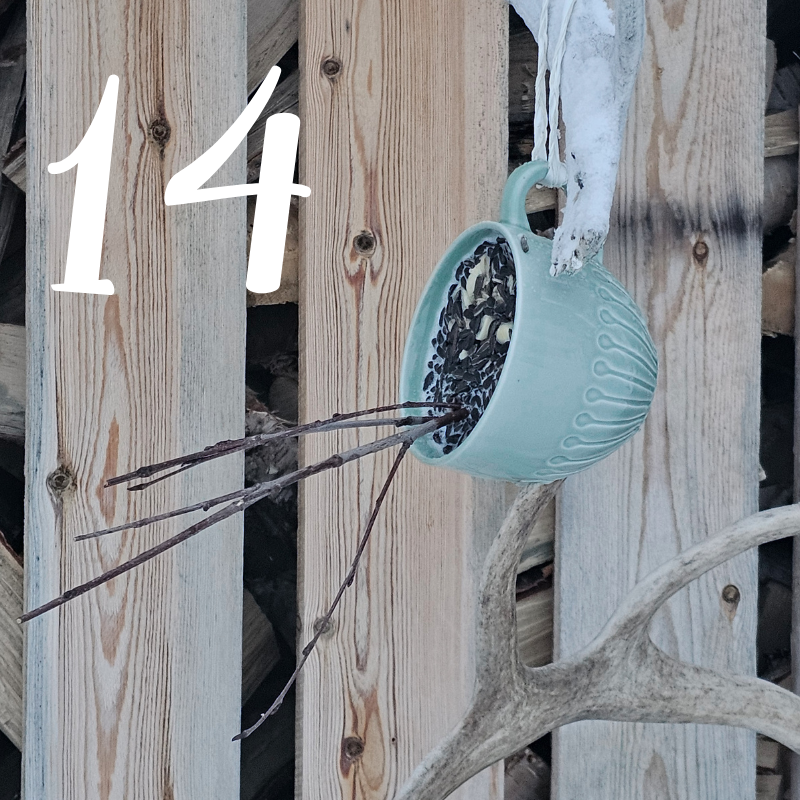 14 Tässchen Vogelfutter Adventskalender DIY